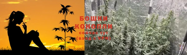 сатива Гусев