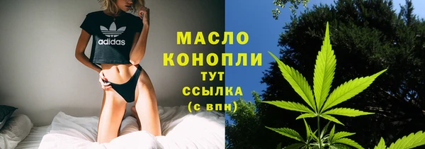 амф Гусь-Хрустальный