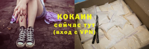 сатива Гусев