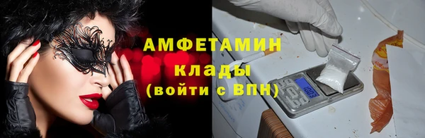 сатива Гусев