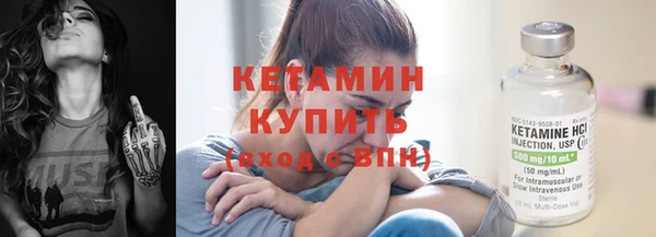 сатива Гусев