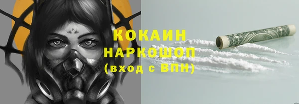 амф Гусь-Хрустальный