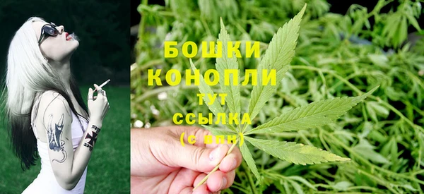 амф Гусь-Хрустальный