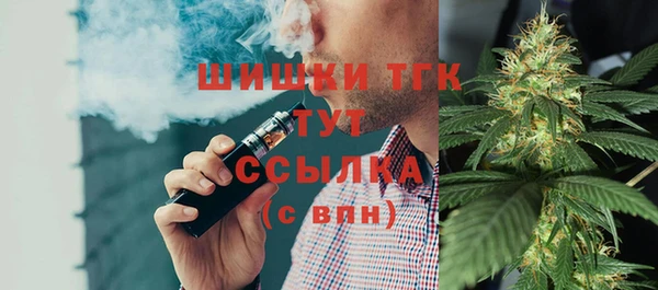 амф Гусь-Хрустальный