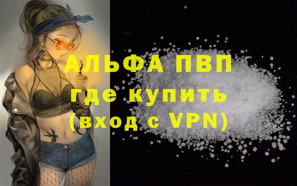 сатива Гусев