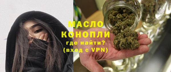 сатива Гусев