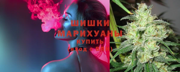 амф Гусь-Хрустальный