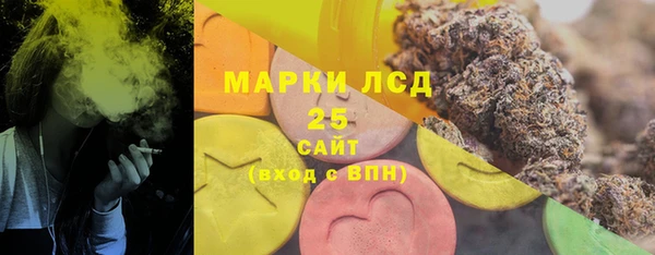 сатива Гусев
